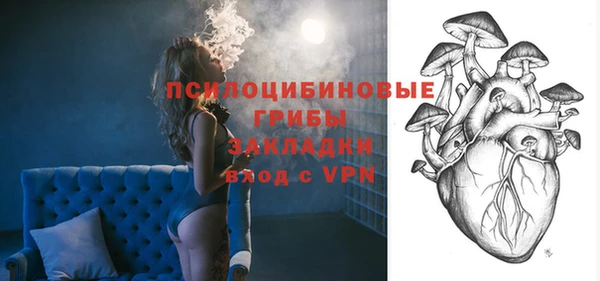 прущие грибы Алексеевка