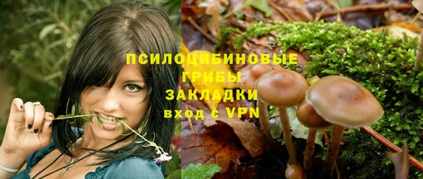 прущие грибы Алексеевка
