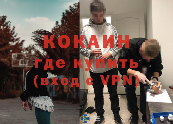 трава Абаза