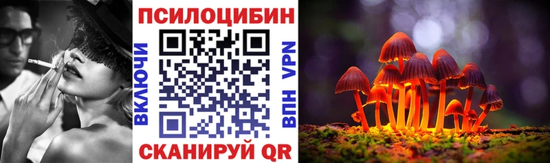 Псилоцибиновые грибы Cubensis  наркошоп  Райчихинск 